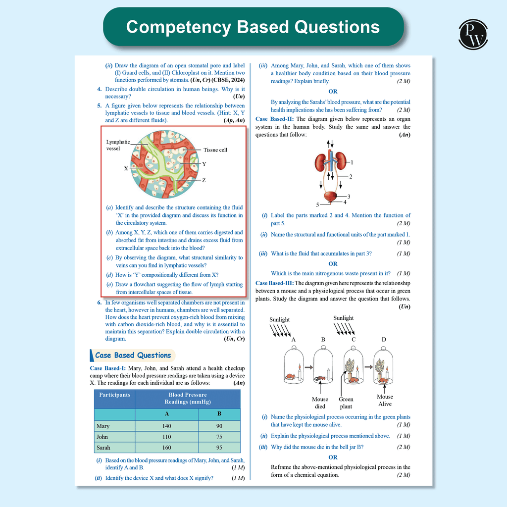 CBSE Question & Concept Bank (QCB) Class 10 Mathematics (Standard), Science, Social Science, English Combo Set of 4 Books Chapterwise & Topicwise Solved Questions For 2026 Exams