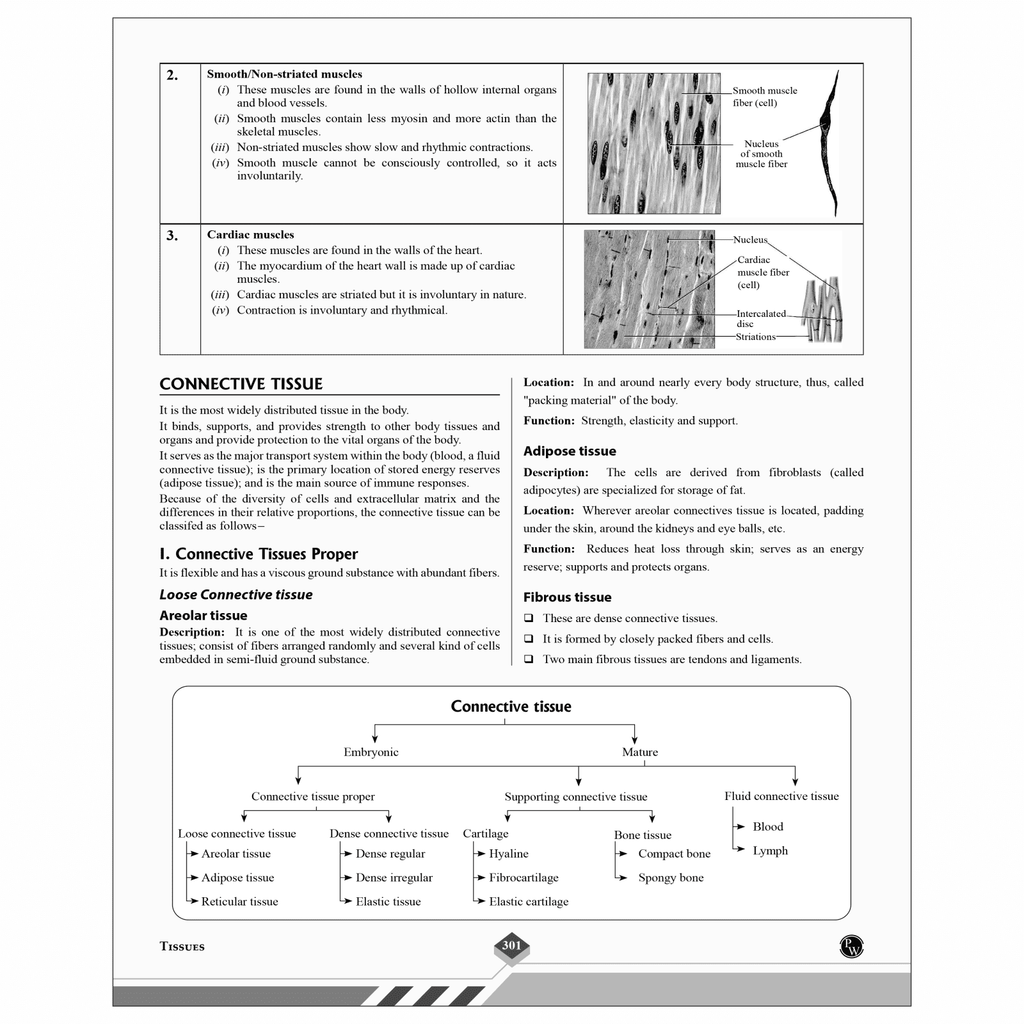 -Shaurya NDA/NA General Ability Mathematics, General Ability Science, General Ability English and General Knowledge Combo Set of 4 Books with Latest 2024 Solved Paper For 2024-25 Examination.