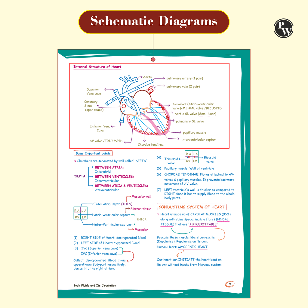 PW Med Easy Handwritten Notes Physics, Chemistry, Botany & Zoology For NEET/JEE and Board Exams 2026-27 | Flowcharts, Formulas, Tips & Tricks, Schematic Diagrams