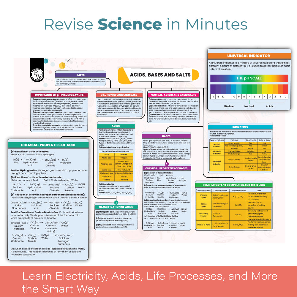 CBSE Class 10 Mind Maps Book For 2025 Board Exam l Mathematics, Physics, Chemistry, Biology, English and Social Science