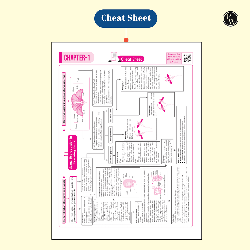 CBSE 15 Sample Question Papers Class 12 Physics, Chemistry & Biology Combo Set of 3 Books For 2025 Exam