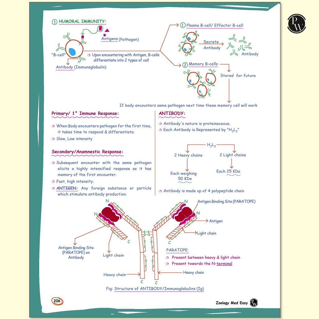 Zoology Med Easy 2.0 By Samapti Sinha Ma’am and Easy Handwritten Notes Inorganic Chemistry By Om Pandey Combo Set of 2 Books For NEET and Board Exams 2025-26