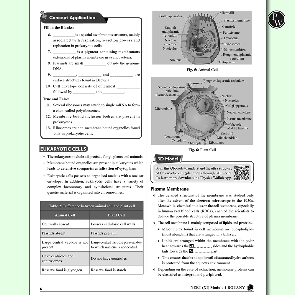 Arjuna 11 NEET Modules 2025