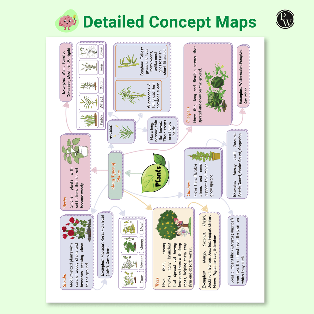 Olympiad Plus Workbook For Class 3 Science Prepguide, Concept Map, PYQs and Worksheets For After School Practice | NSO, ISO, iOS, Hindustan Olympiad, NSTSE and Others