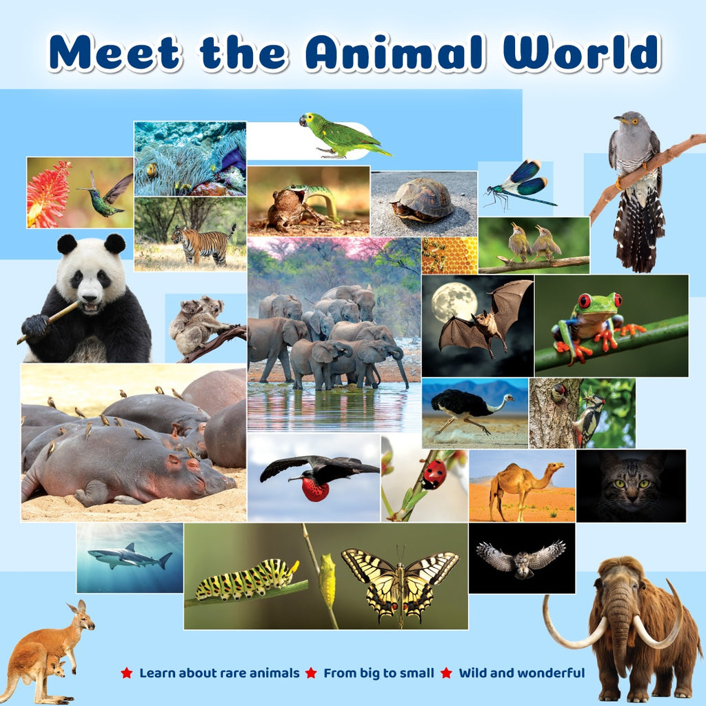 First Encyclopedia Life on Earth with AR (Augmented Reality) - Human Body, Animals & Plants For Kids, Early Learning Activity Book, Encyclopedia For Kids