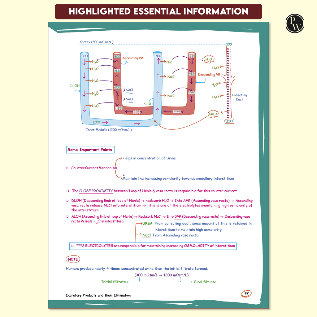 Zoology Med Easy 2.0 For NEET and Board Exams 2025-26 | Flowcharts, Schematic Diagrams l Samapti Sinha Mahapatra Handwritten Notes!