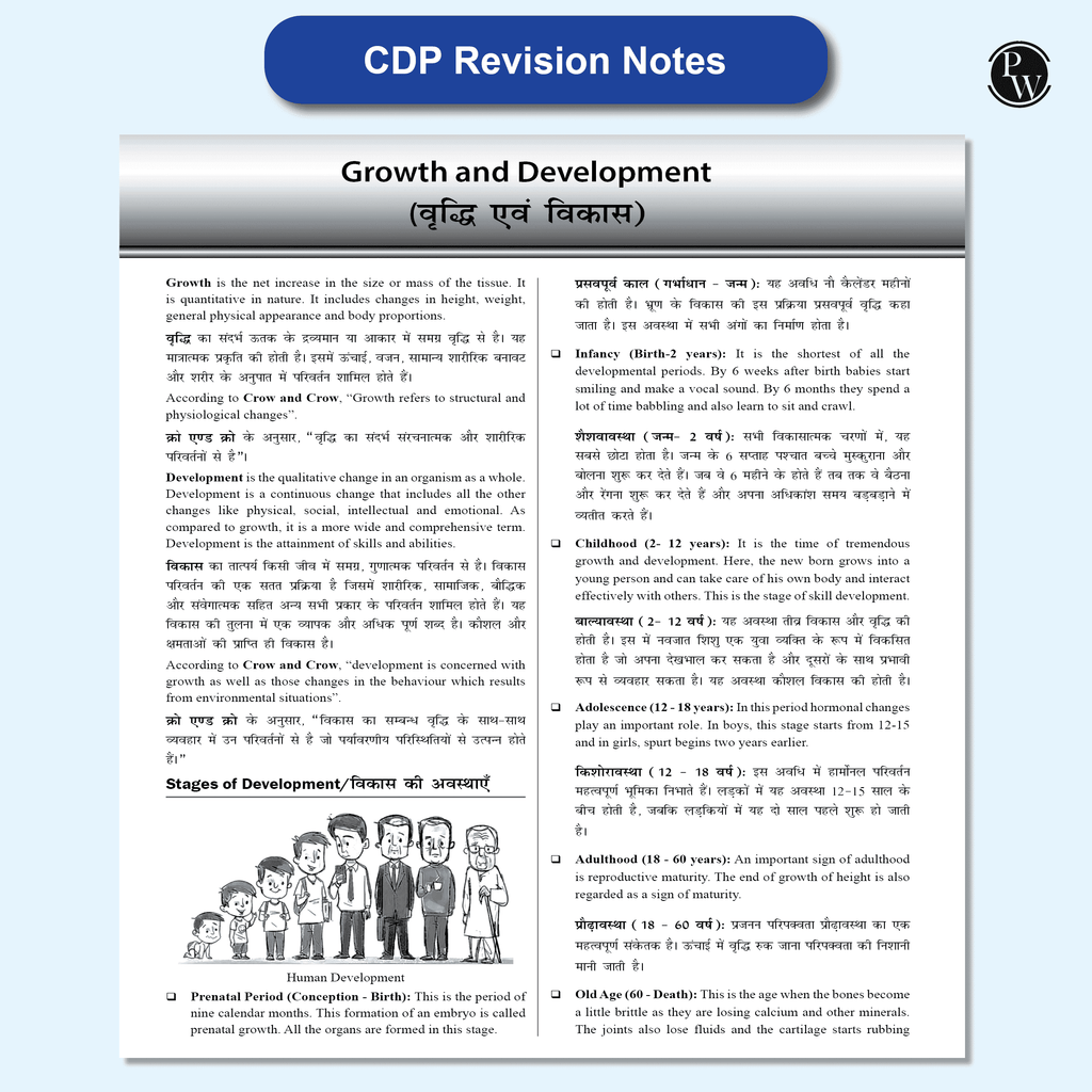 CTET Paper 1 (Class 1 – 5) 22 Solved Papers 2024 - 2011 with Latest Paper (Held on 14 December 2024) | 5 Practice Sets | OMR Sheets | Hindi Edition