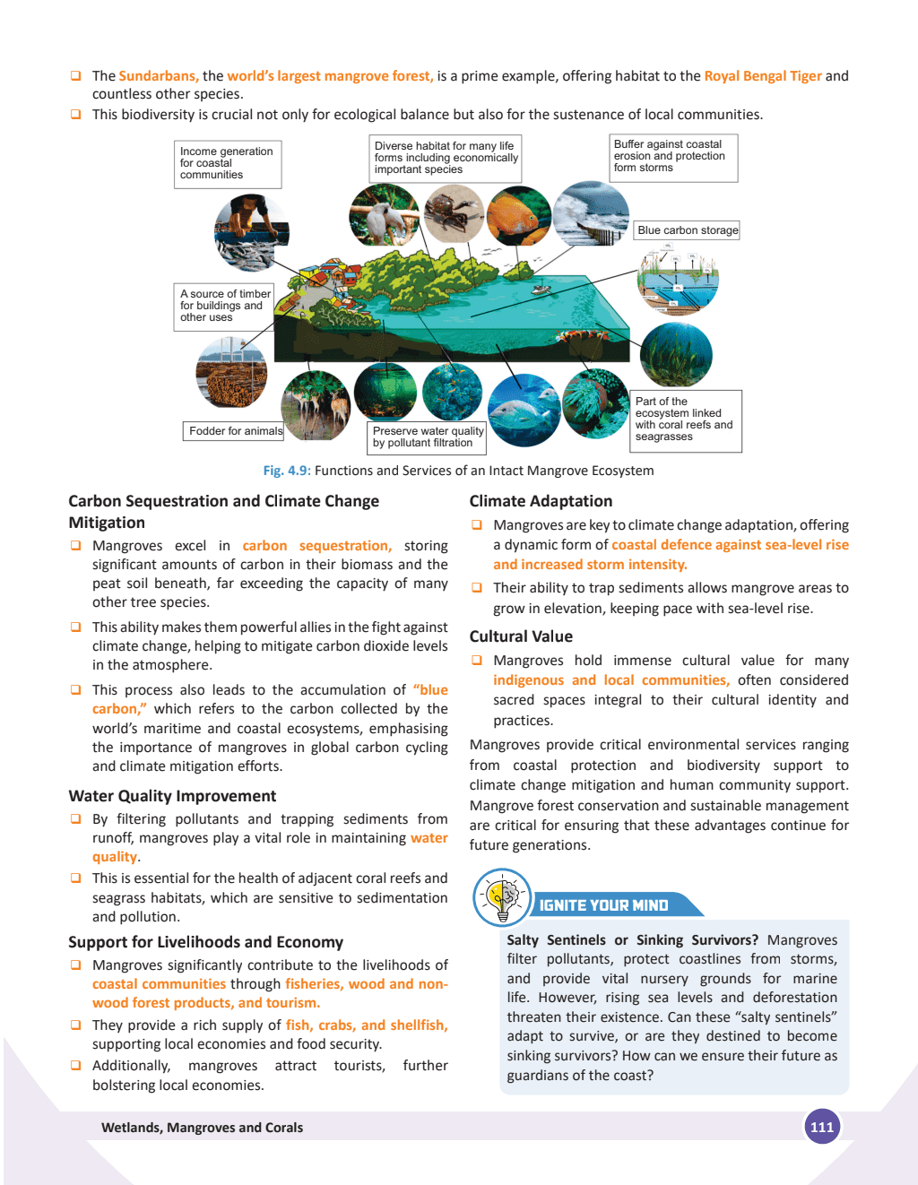 PWONLYIAS UPSC Wallah Geography, Environment and Disaster Management Combo Set of 5 For Civil Services Exam 2025 Latest Edition