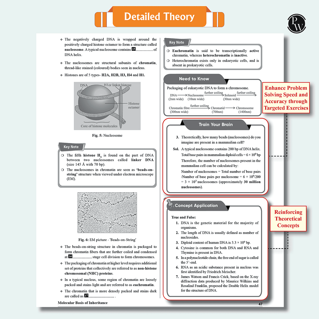 Arjuna 11 NEET Modules 2025