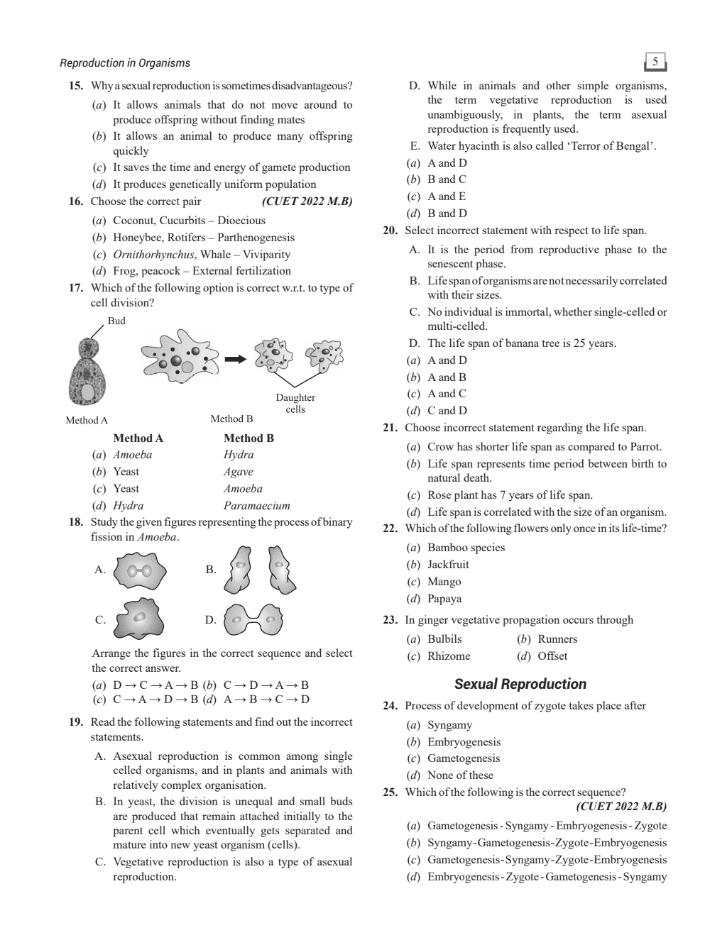 Cuet Biology Chapterwise & Topicwise Question Bank (2023- 2024) with Complete NCERT Crux, CUET PYQs (2022-2023) Past Year Questions and Mock Test I For Central Universities Entrance Test 2024