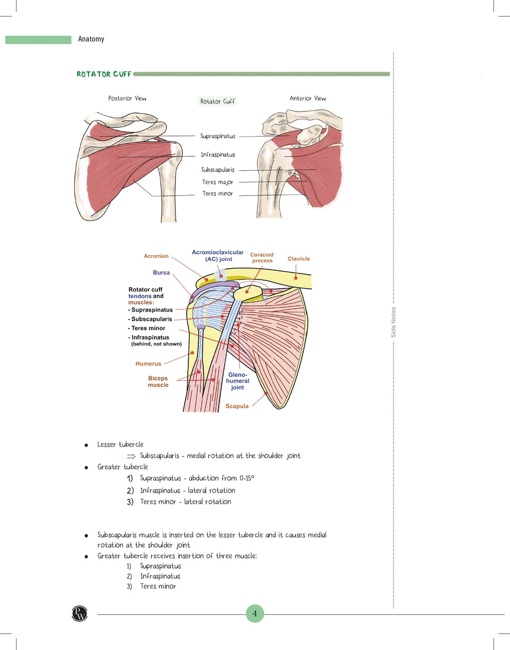 MedEd MBBS 1st Prof Year Notes | Anatomy, Biochemistry, Physiology Combo Set of 3