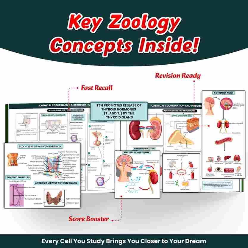 NEET BioLens Biology Through Images For 2024-25 Exams l Interactive 3D Models, Visual Representation, Practice Questions