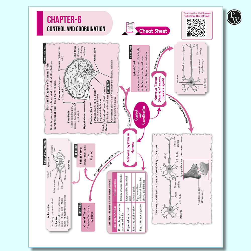 PW 15 CBSE Class 10 Science Sample Paper for 2026 Board Exam (As Per Latest SQP Dated 30 July 2025) | Mind Maps with 111 Most Probable Questions