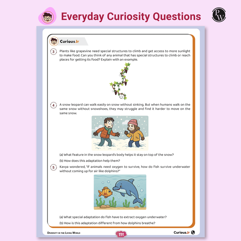 Olympiad Plus Workbook For Class 6 Science Prepguide, Concept Map, PYQs and Worksheets For After School Practice | NSO, ISO, iOS, Hindustan Olympiad, NSTSE and Others