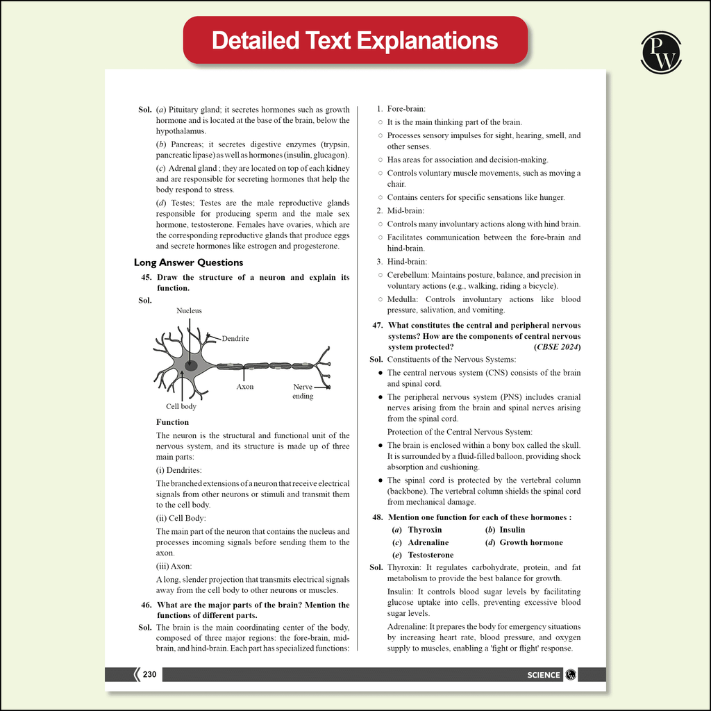 CBSE Class 10 NCERT Exemplar Problems Mathematics and Science with Text & Video Solutions | Chapterwise Mind Maps | PYQ Tagging | Rationalised NCERT Syllabus