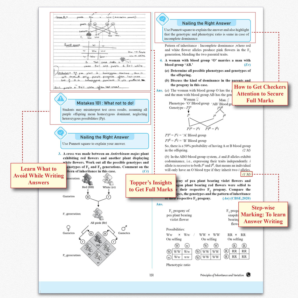 CBSE Question & Concept Bank (QCB) Class 12 Physics, Chemistry, Mathematics, Biology, English COMBO Set of 5 Books Chapterwise & Topicwise Solved Questions For 2027 Exams