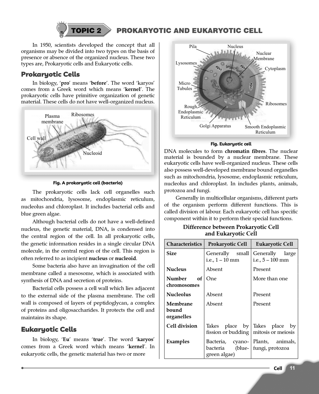 ICSE Class 9th Mathematics, Physics, Chemistry, Biology, Geography, History and Civics, English Langauge Paper 1 & 2 (Latest Edition) Combo Set of 8 Books