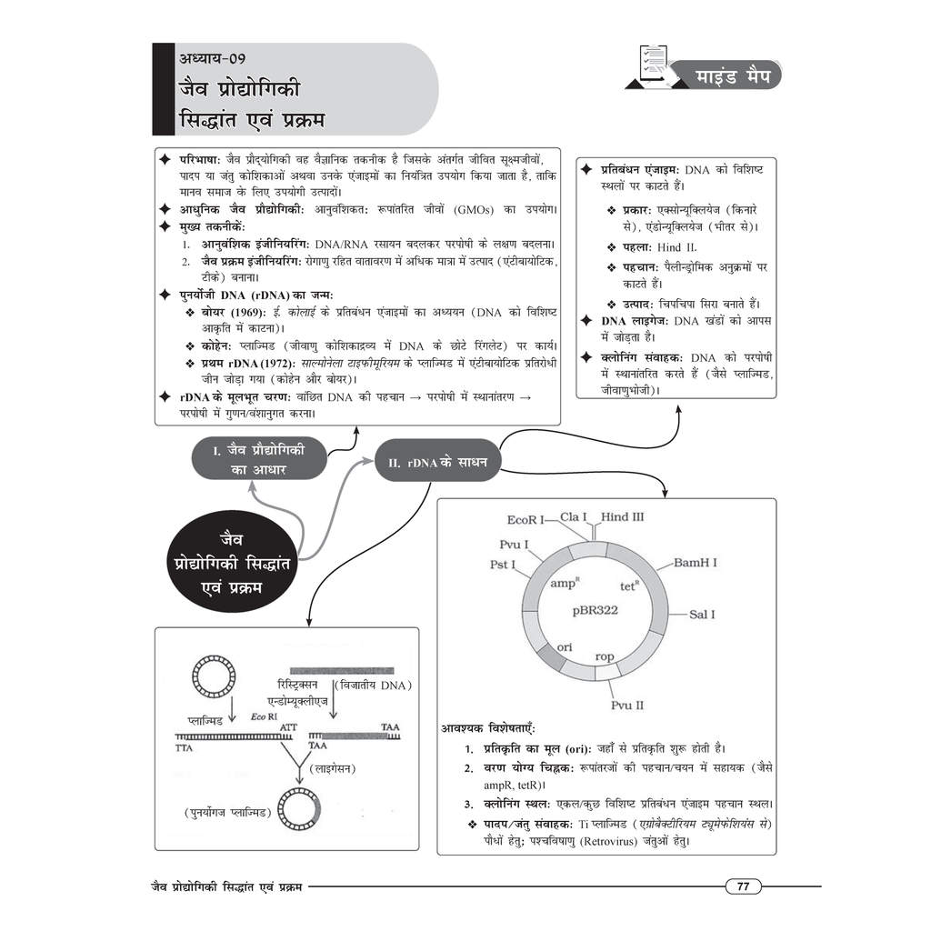 Class 12 UP Board Exam Sathi MCQs (Hindi Medium) Physics, Chemistry, Biology, Mathematics, English & Hindi Combo Set of 6 Books For 2026 Exam Pattern | Chapterwise Mind Maps & PYQs For Revision
