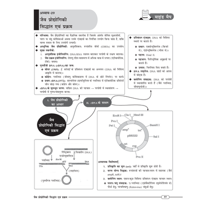Class 12 UP Board Exam Sathi MCQs (Hindi Medium) Physics, Chemistry, Biology, Mathematics, English & Hindi Combo Set of 6 Books For 2026 Exam Pattern | Chapterwise Mind Maps & PYQs For Revision