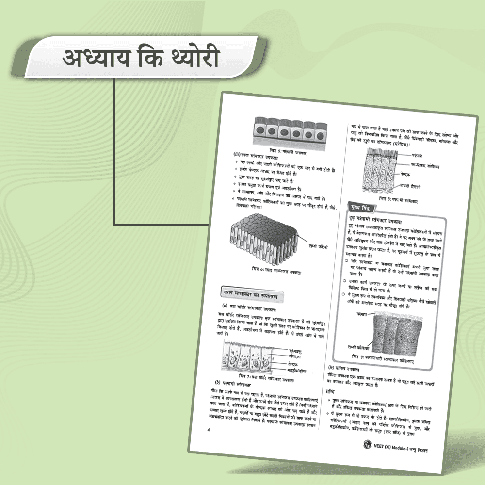 Arjuna for NEET (Hindi) Class 11th Physics, Chemistry, Botany and Zoology Modules with Solutions & 15 OMR Sheet (2024 Edition) Combo Set of 13 Books