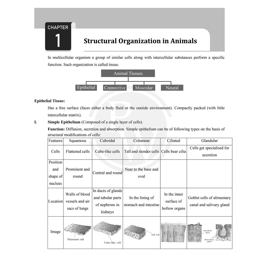 CBSE Class 11 Formula Handbook Chapterwise Key Formulas For 2027 Exams | Physics, Chemistry, Biology & Mathematics | As Per Latest Syllabus For Last Minute Revision
