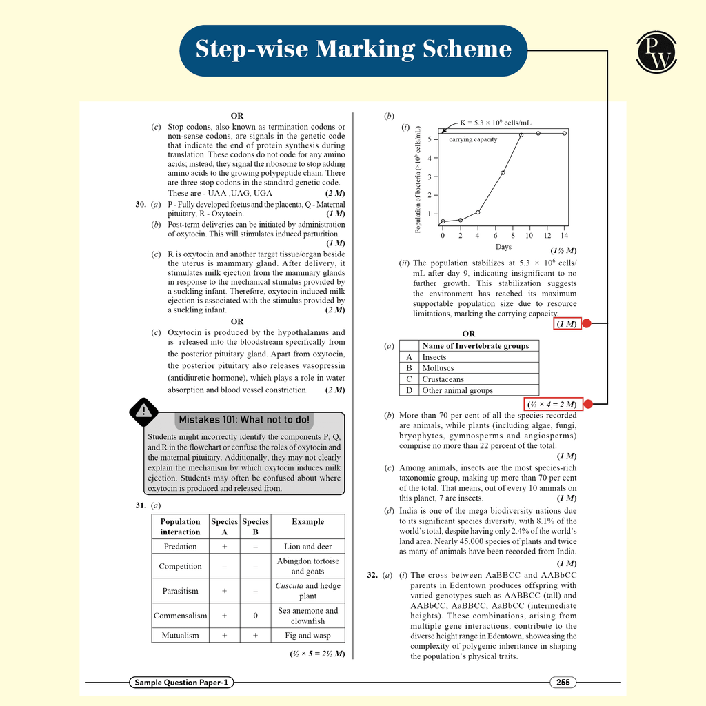 CBSE Class 12 Science Stream Combined 30 Sample Papers For 2024-2025 Board Exams l Physics, Chemistry, Mathematics, Biology, English Core