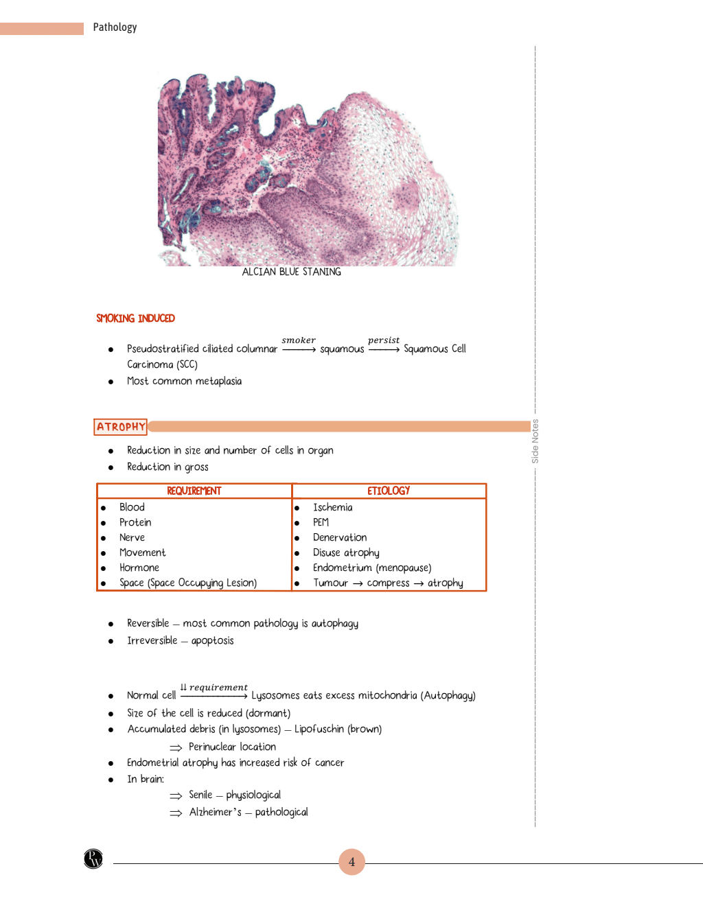 MedEd MBBS 2nd Prof Year Comprehensive Notes Pack Microbiology, Pathology, Pharmacology, Forensic Medicine & Toxicology Set of 4 Books