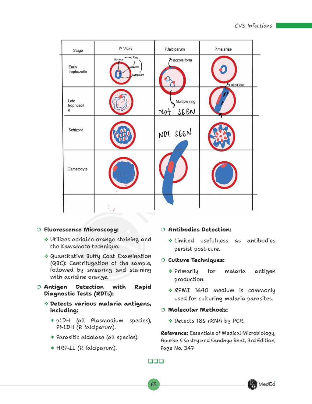 MedEd FARRE for Second MBBS Professional University Exam | Microbiology, Pharmacology, Pathology