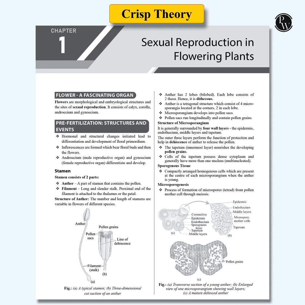 Sprint NEET Crash Course Class 11 & 12 Combo Set of 6 Books l Physics, Chemistry, Biology For 2024-2025 Exams l 60 Days Study Plan l Crisp Theory & Level-wise Questions
